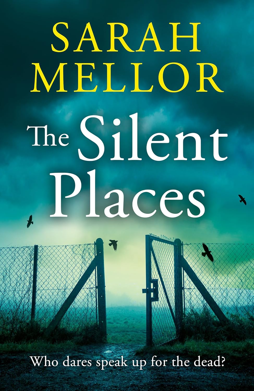 silent places sarah mellor - 1 The Silent Places by Sarah Mellor